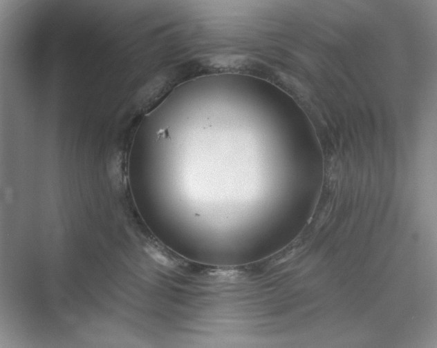 X0000075400428200609251023