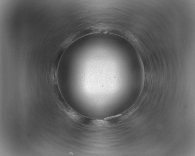 X0000075400429200609251023