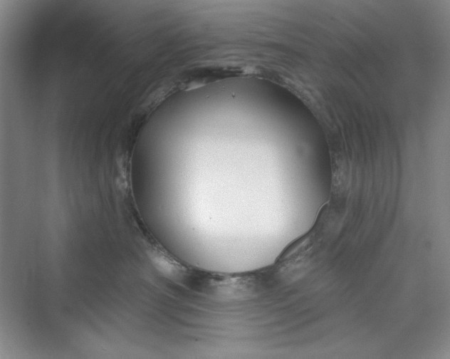 X0000075400430200609251023