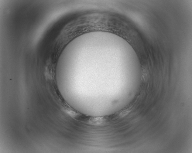 X0000075400431200609251023