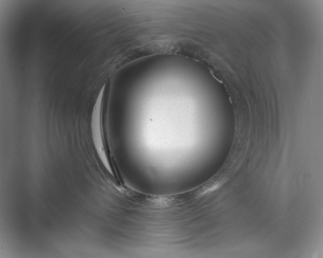 X0000075400432200609251023