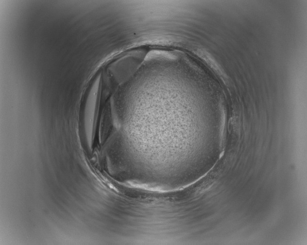 X0000075400434200609251022