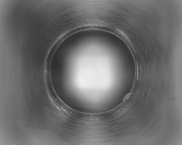 X0000075400435200609251022