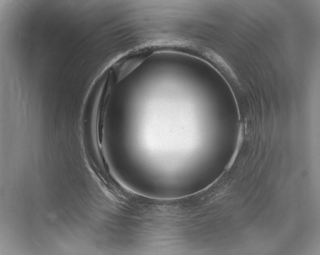 X0000075400436200609251022