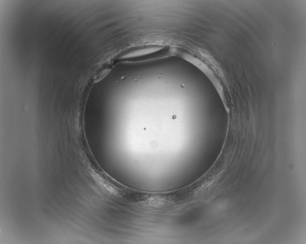 X0000075400441200609251022