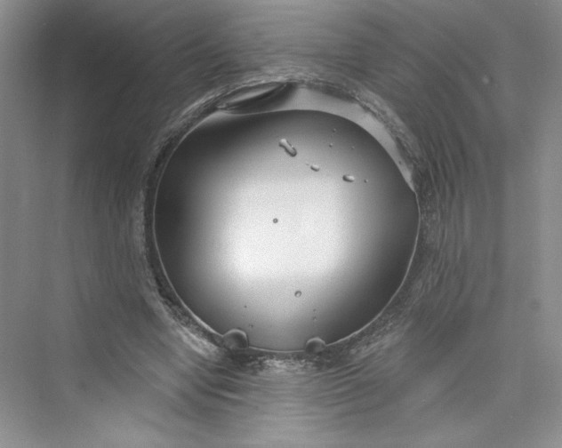 X0000075400442200609251022