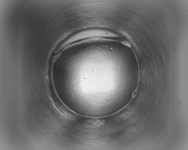 X0000075400443200609251022