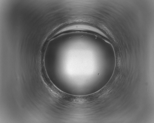 X0000075400444200609251022