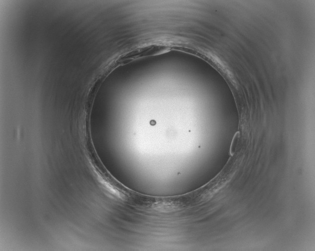 X0000075400445200609251022