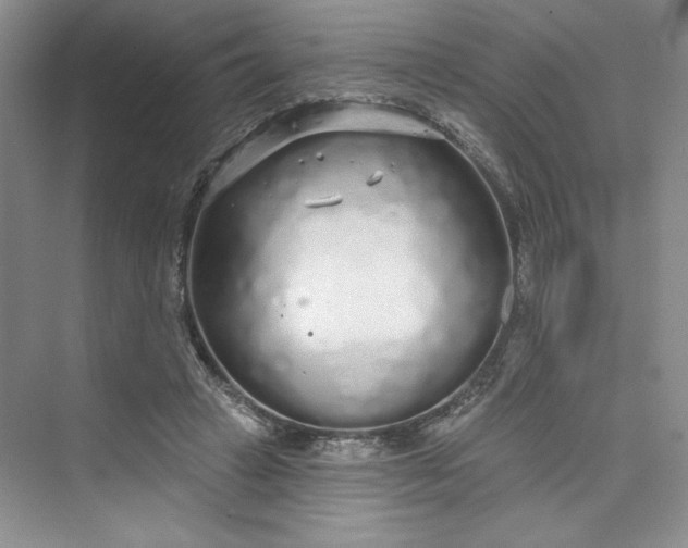 X0000075400449200609251022