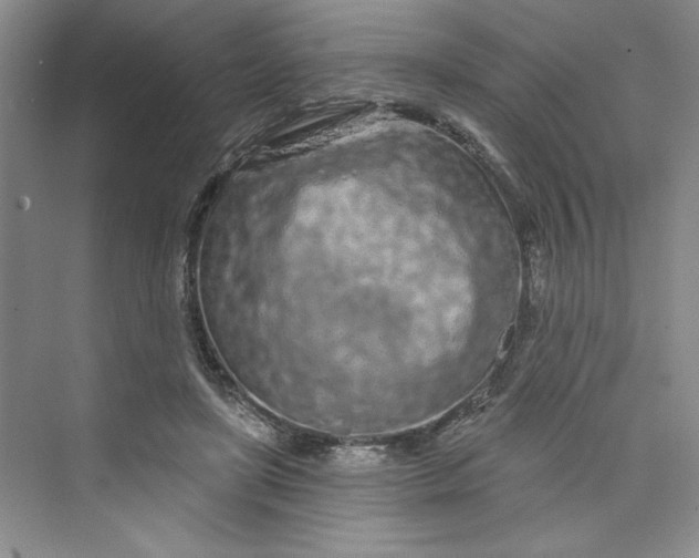 X0000075400451200609251023