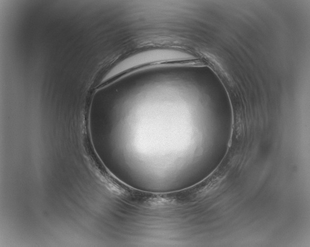 X0000075400453200609251023