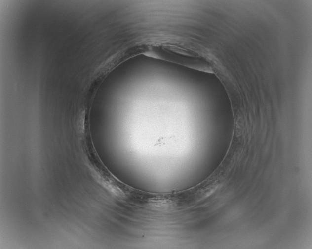 X0000075400454200609251023