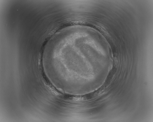 X0000075400458200609251023