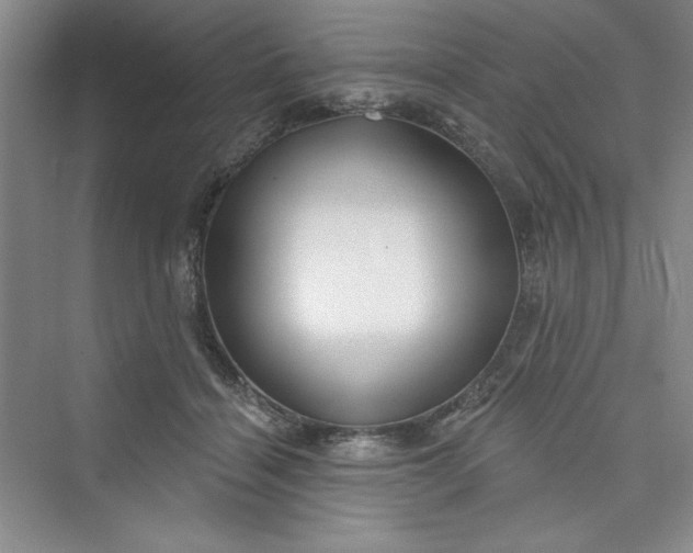 X0000075400460200609251023