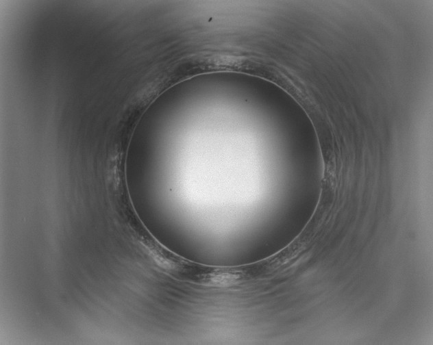 X0000075400462200609251023