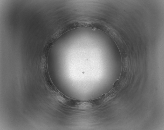 X0000075400463200609251023