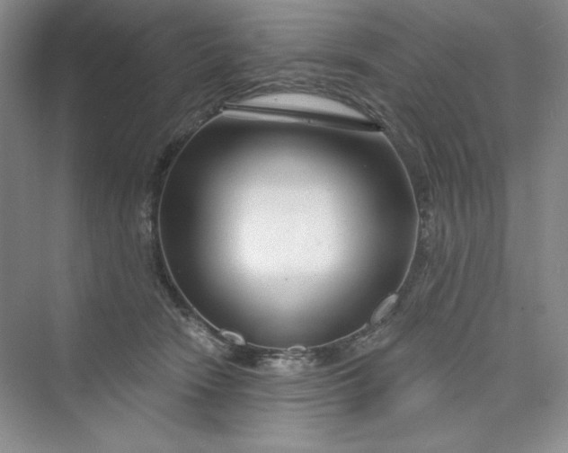 X0000075400466200609251023