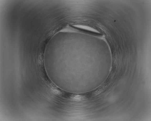 X0000075400467200609251023