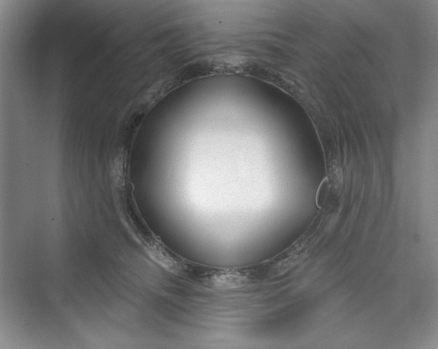 X0000075400468200609251023