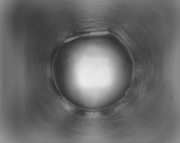 X0000075400469200609251023