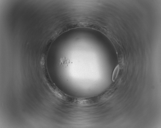 X0000075400472200609251023