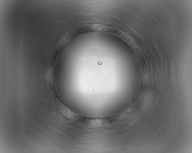 X0000075400473200609251023