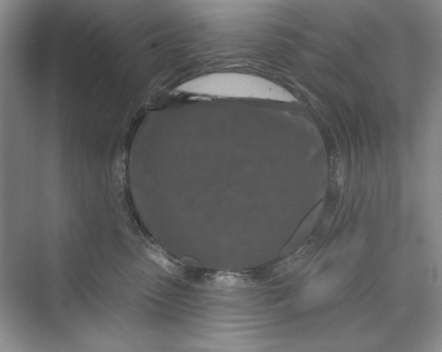 X0000075400475200609251023