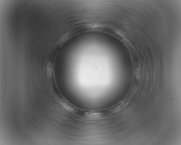 X0000075400476200609251023