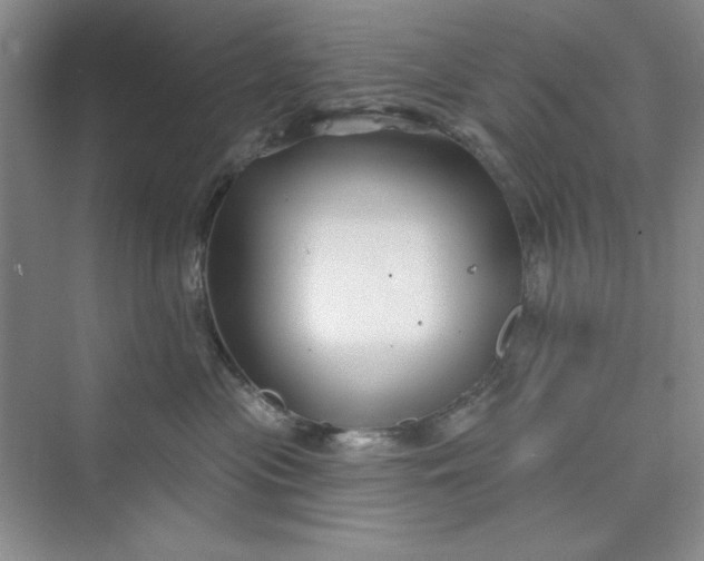 X0000075400477200609251023