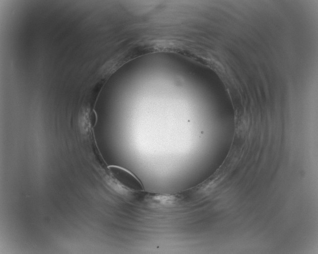 X0000075400478200609251023