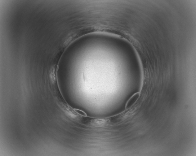 X0000075400479200609251023