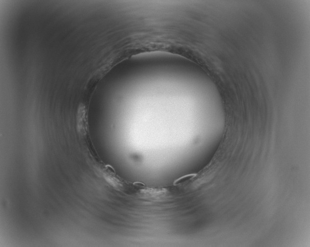 X0000075400480200609251023