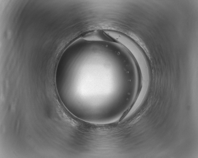 X0000075400481200609251022