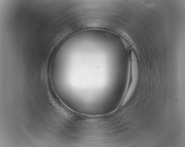 X0000075400482200609251022