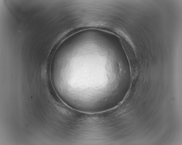 X0000075400483200609251022