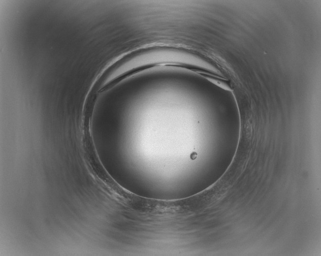 X0000075400484200609251022