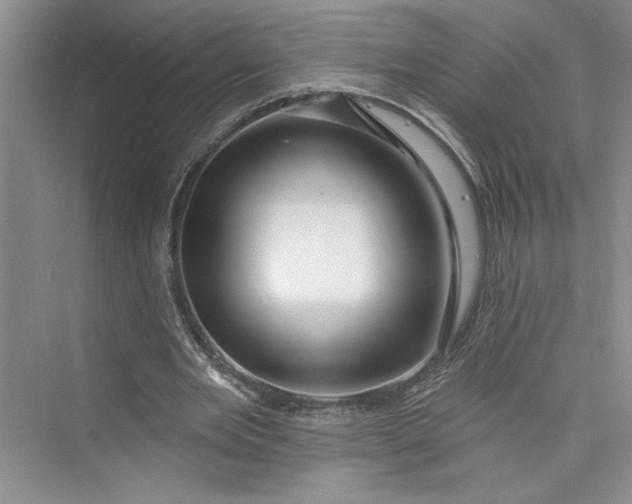 X0000075400485200609251022