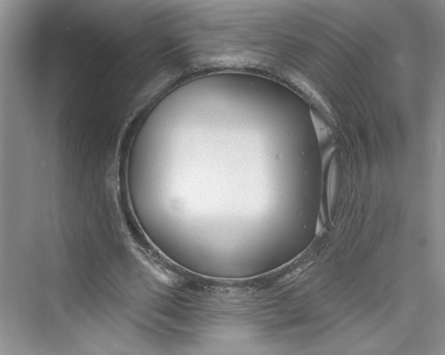 X0000075400486200609251022