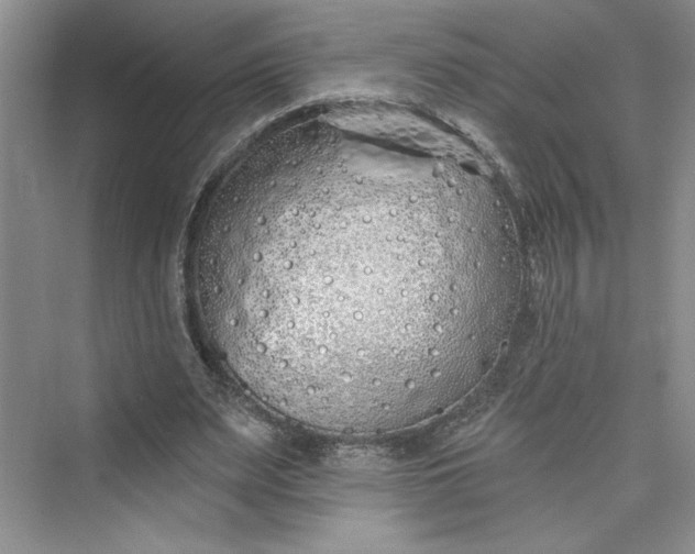 X0000075400487200609251022