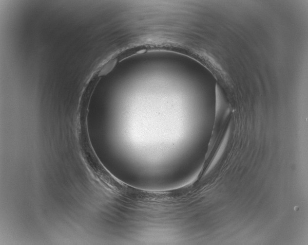 X0000075400488200609251022