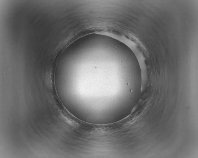 X0000075400489200609251022