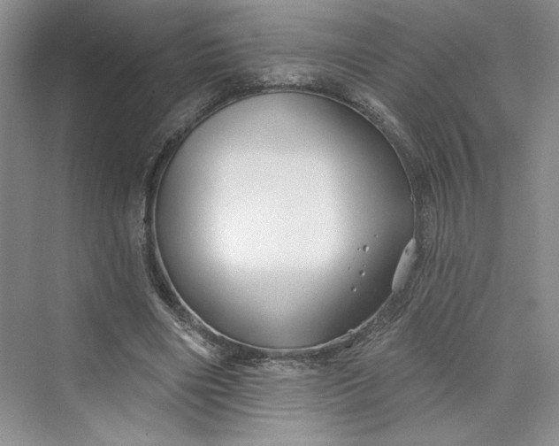 X0000075400490200609251022