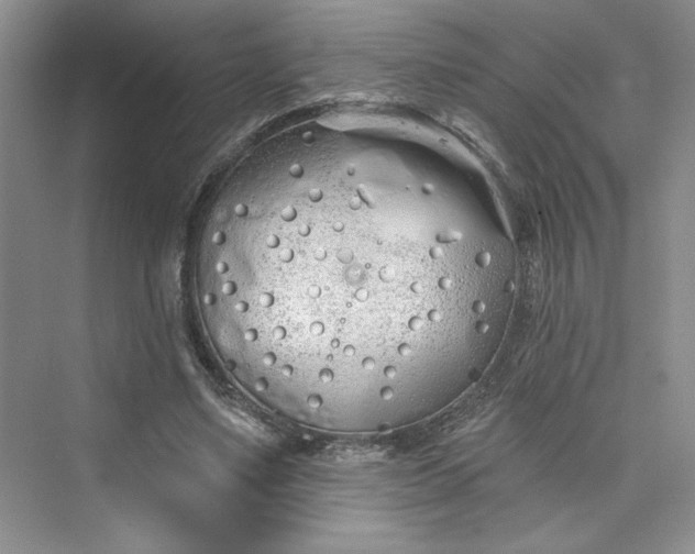 X0000075400491200609251022