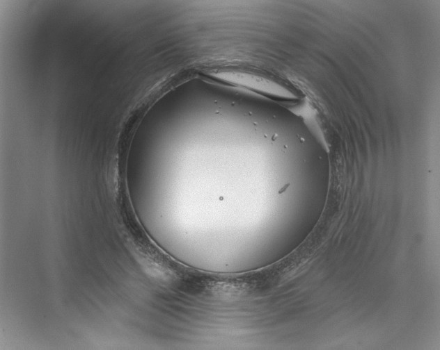 X0000075400494200609251022