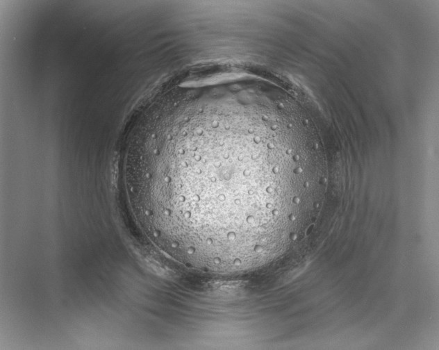 X0000075400495200609251022