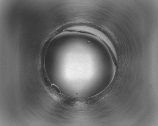 X0000075400496200609251022