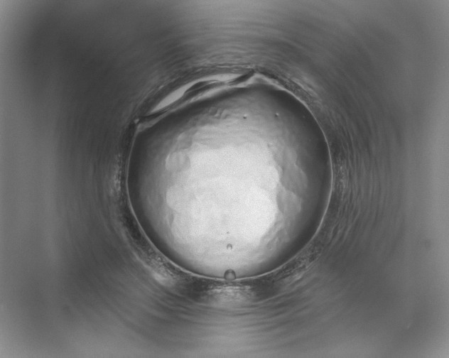 X0000075400499200609251022