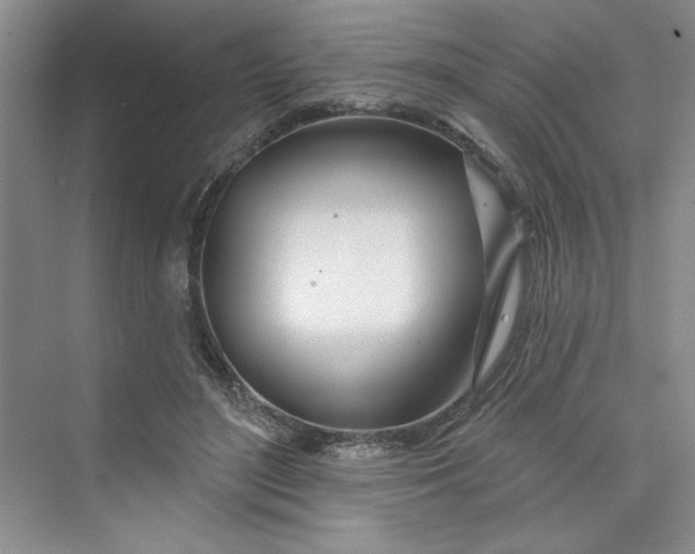 X0000075400500200609251022