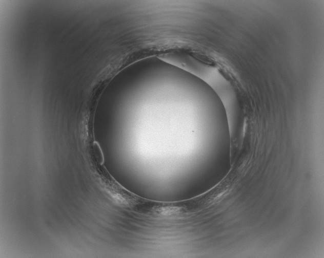 X0000075400501200609251022